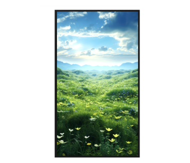 55 inch window digital signage advertising screen