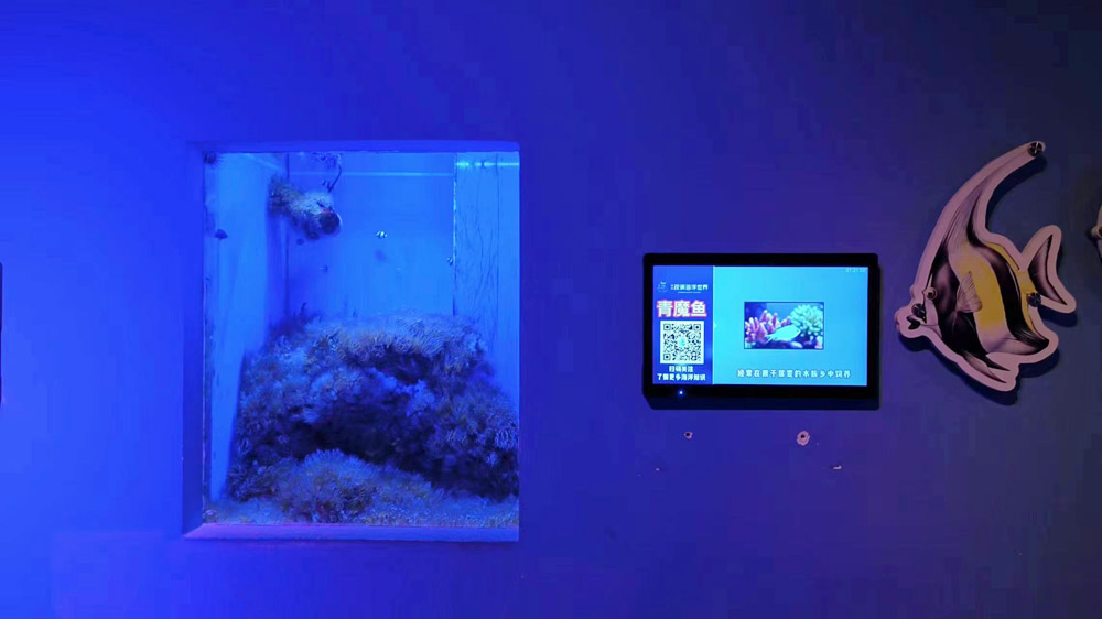 Risingstar full waterproof indoor LCD display at aquarium